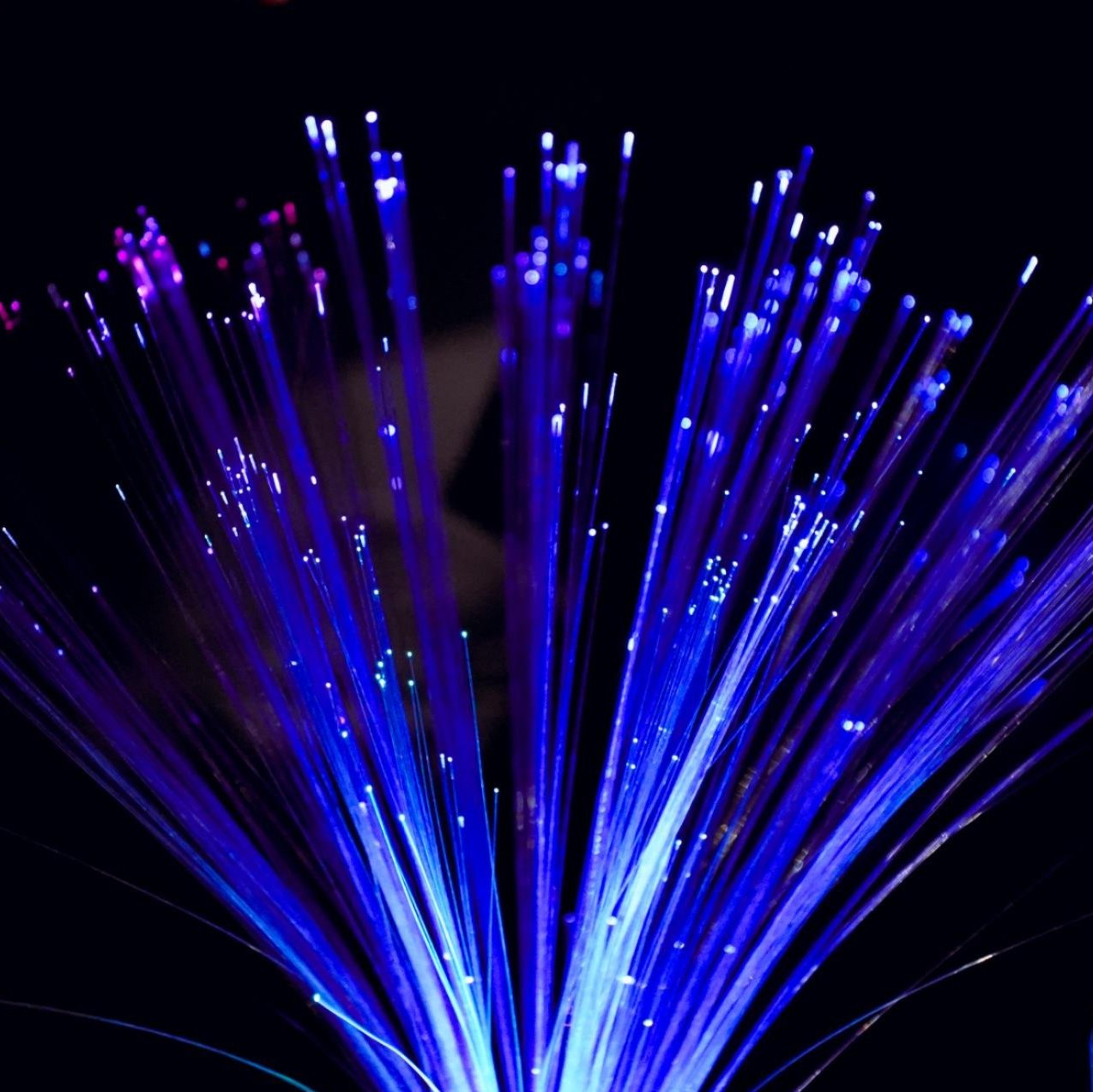 linked_image_12.jpg